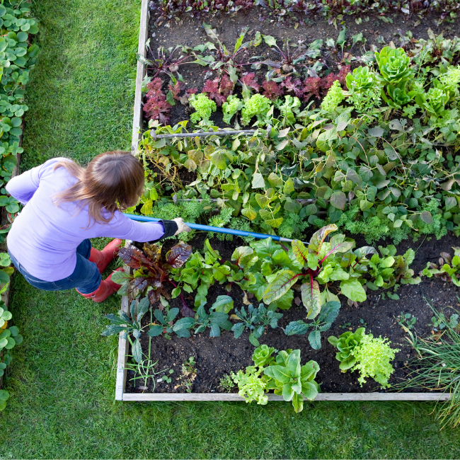 Woman tending to garden