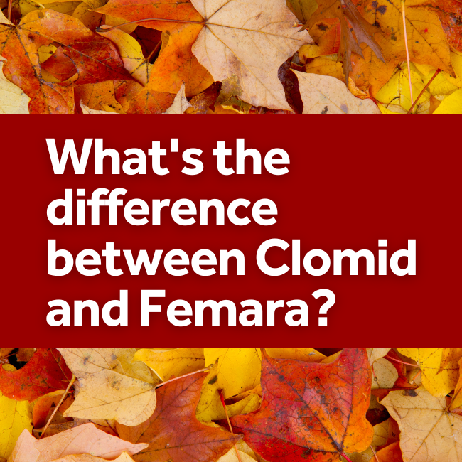 ¿Cuál es la diferencia entre Clomid y Femara?