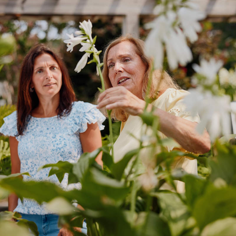Two women standing in a garden looking at white flowers. The older woman on the right is holding a tall stem with white blossoms and pointing it out to the younger woman on the left, who is looking at the plant with interest.