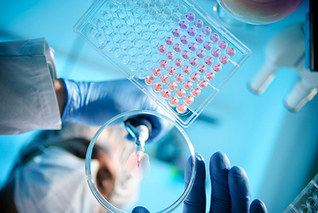 Stony Brook Clinical trials