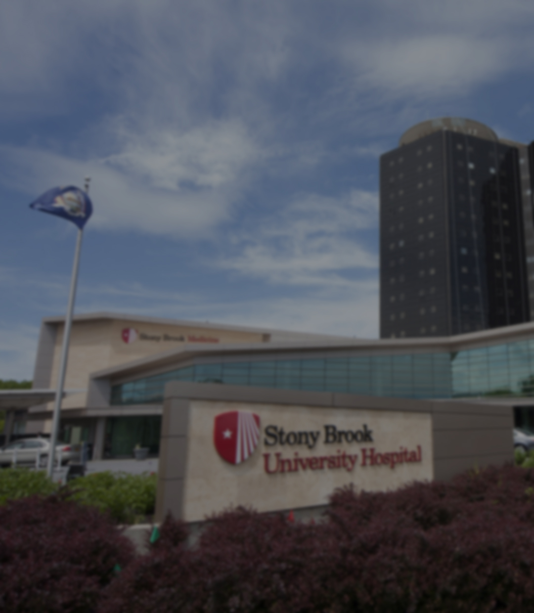 Catering stony brook medicine