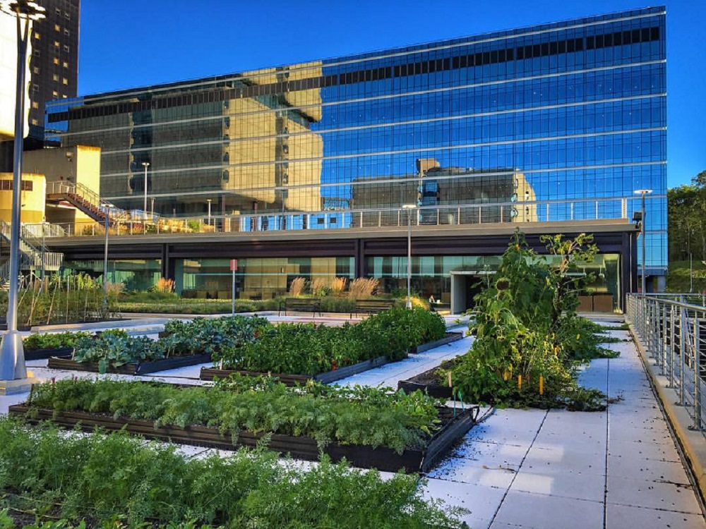 Rooftop Garden