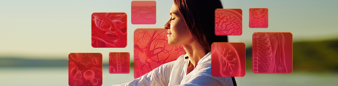 systems campaign image