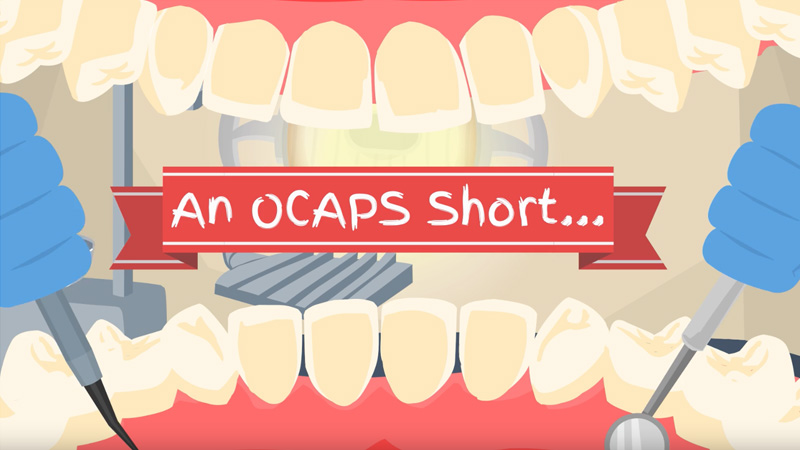 Internal Audit- Educational Video