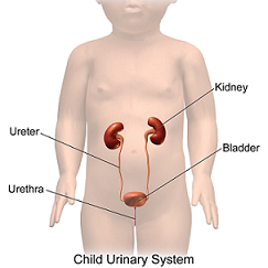 urología pediátrica