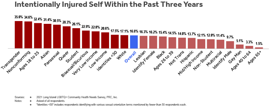 Bar chart of LI LGBTQ+ Health Needs Survey respondents’ having intentionally injured themselves within the past three years by subgroup (sexual orientation, gender identity, age, student status, household income, race and ethnicity).